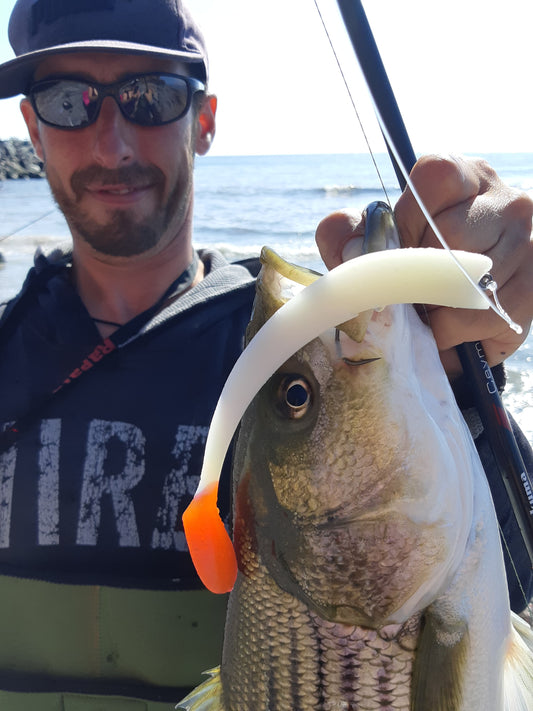 Les pêcheurs de bar rayé ont repris le sourire en Gaspésie.