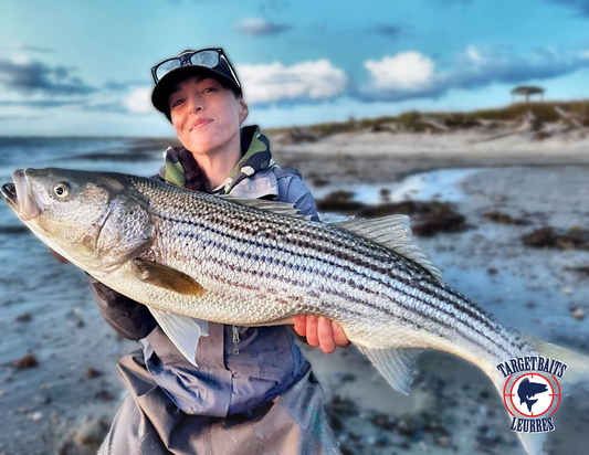 🎣 Le bar rayé au Québec : guide expert pour le cibler en zone autorisée