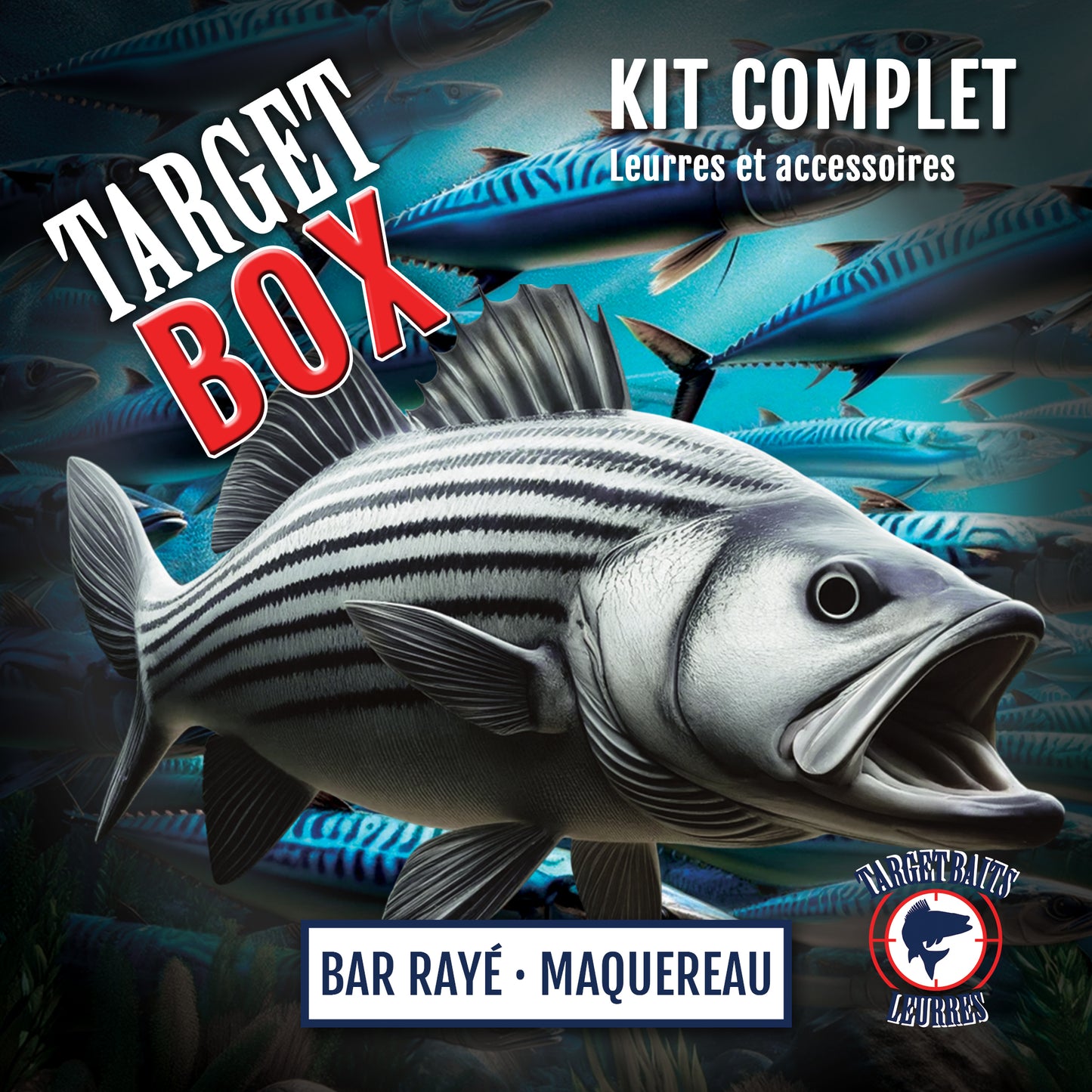 TARGET BOX - BAR RAYÉ & MAQUEREAU