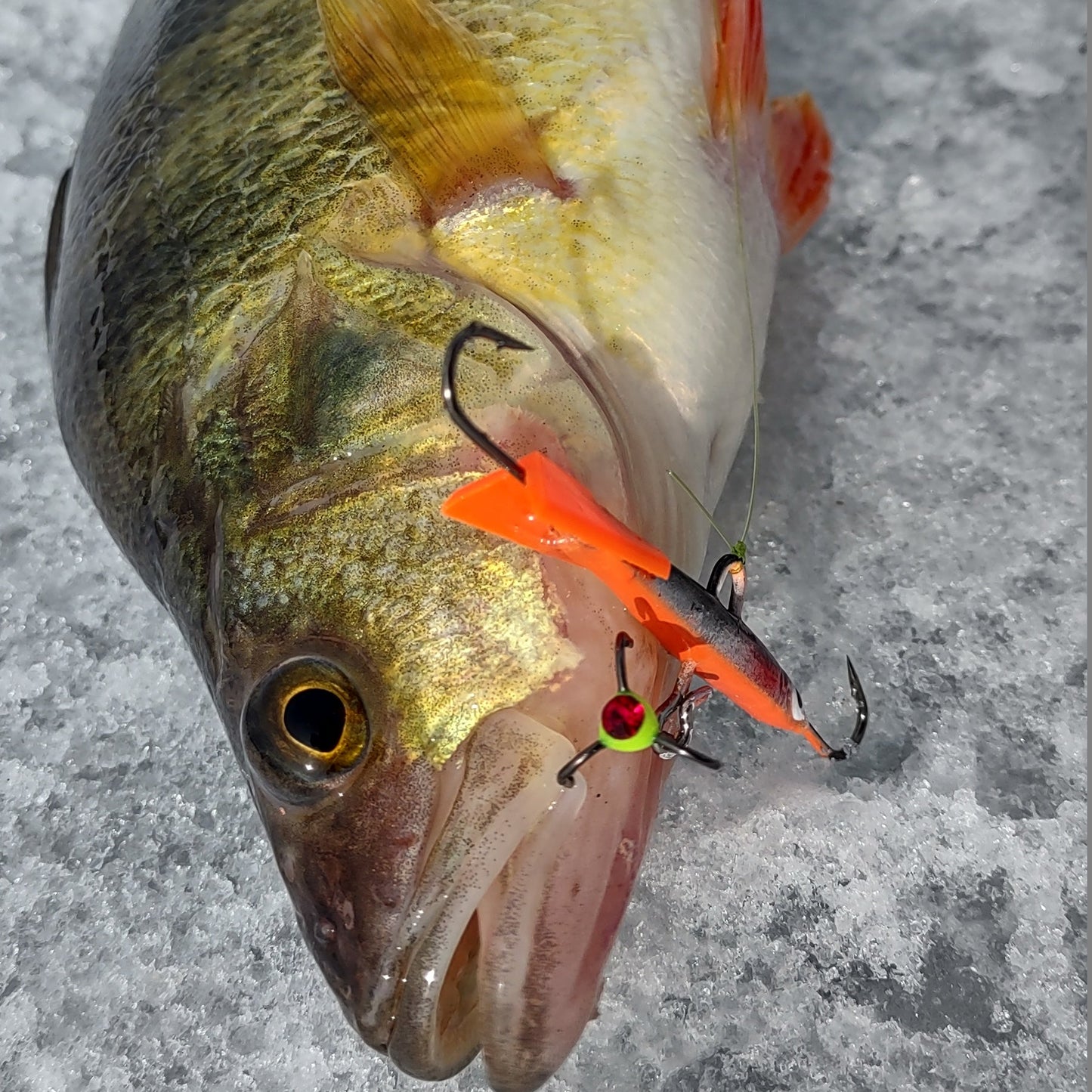TARGET BOX - PÊCHE SUR GLACE