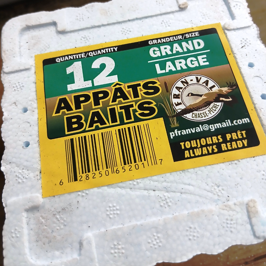 Vers de terre Vivant