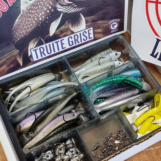 TARGET BOX - TRUITE GRISE