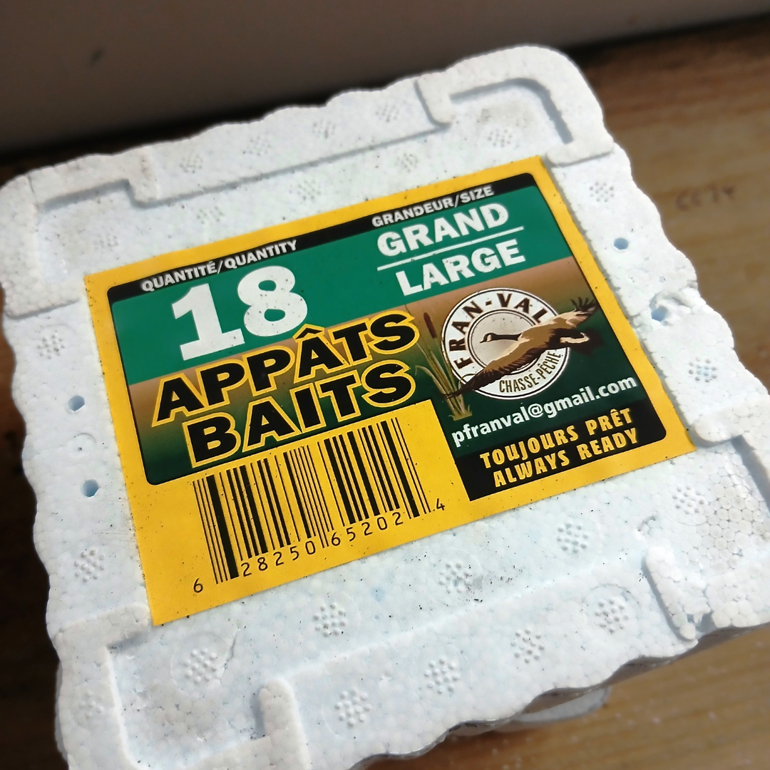 Vers de terre Vivant