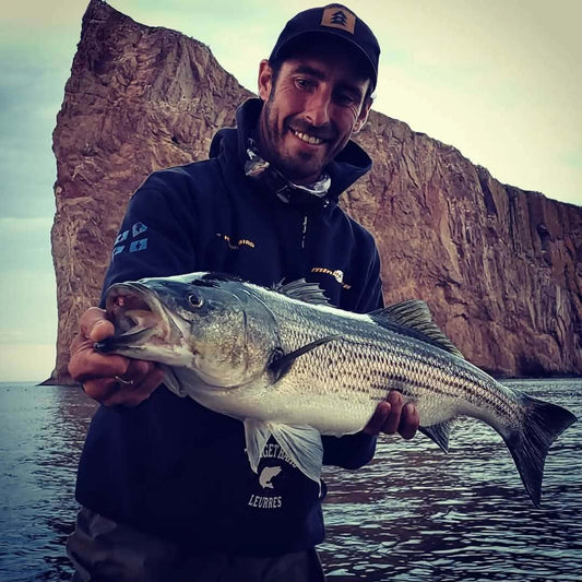🎣 Le bar rayé au Québec : guide expert pour le cibler en zone autorisée