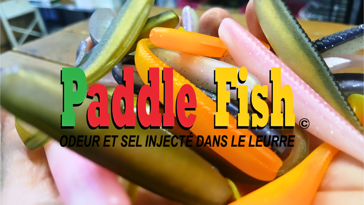 Paddle Fish