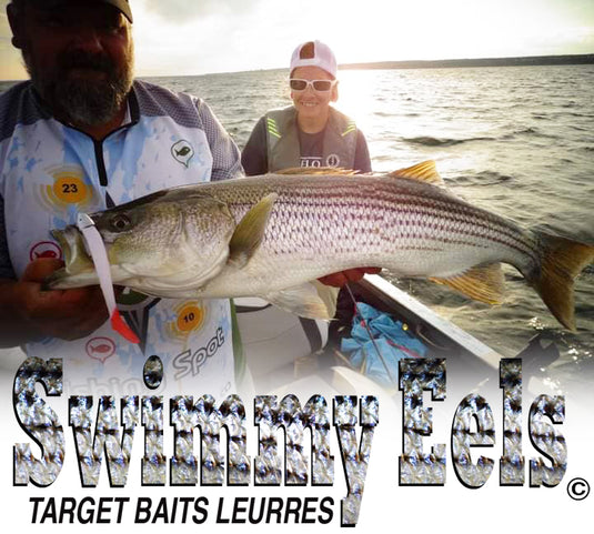 Bar Rayé – Target Baits Leurres