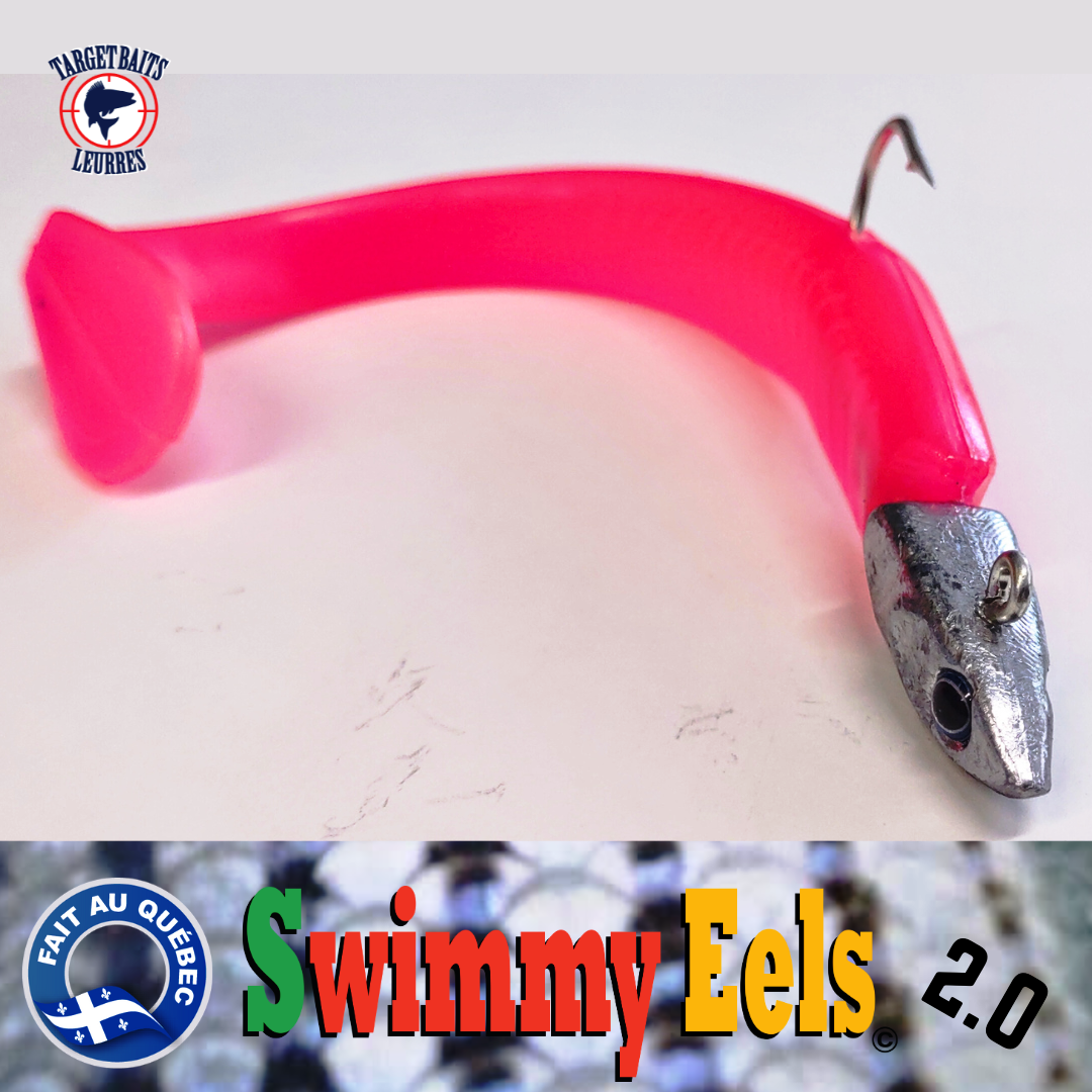 Swimmy Eel 5.5" (2.0) avec tête de Jig