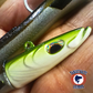 Swimmy Eel 5" Realiste