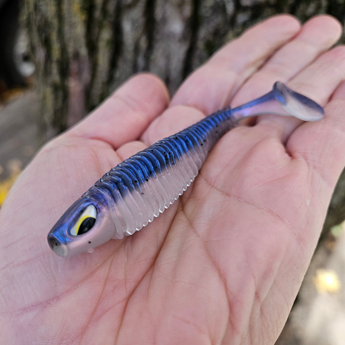 leurre atomic gobies goby blue shiner 4 pouces doré et truite grise touladi