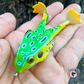 Spin Froggy Topwater 3.5"