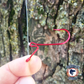 Drop Shot Hook Red