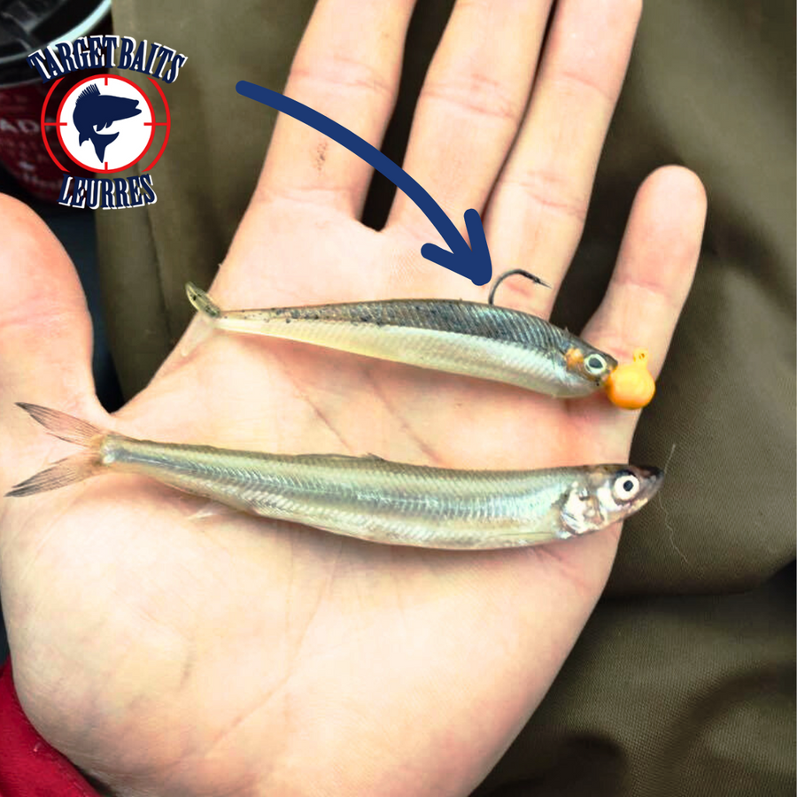 Swimmy Fish 3.5"