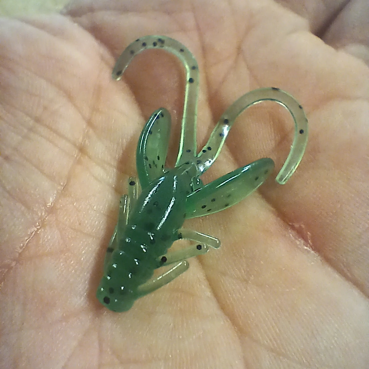 Leurre souple Mini Craw 1,5 po, Vert Turquoise.