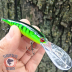 Deep Hard Swim Hard Bait, Firetiger.