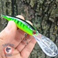 Poisson nageur Deep Hard Swim