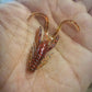 Mini Craw 1.5 po