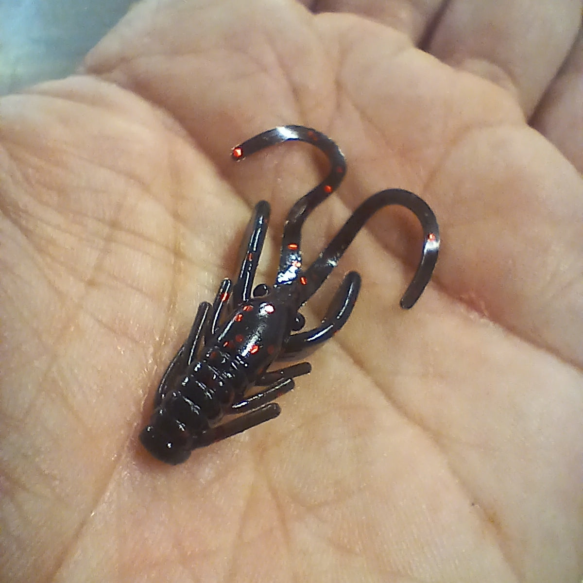 Mini Craw 1.5 po