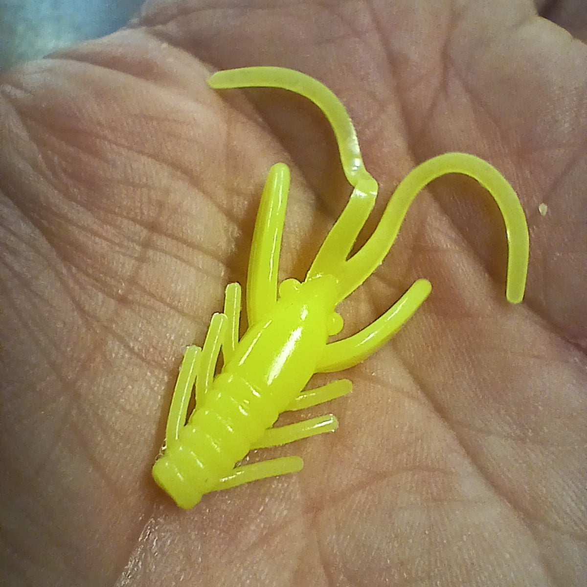 Mini Craw 1.5 po