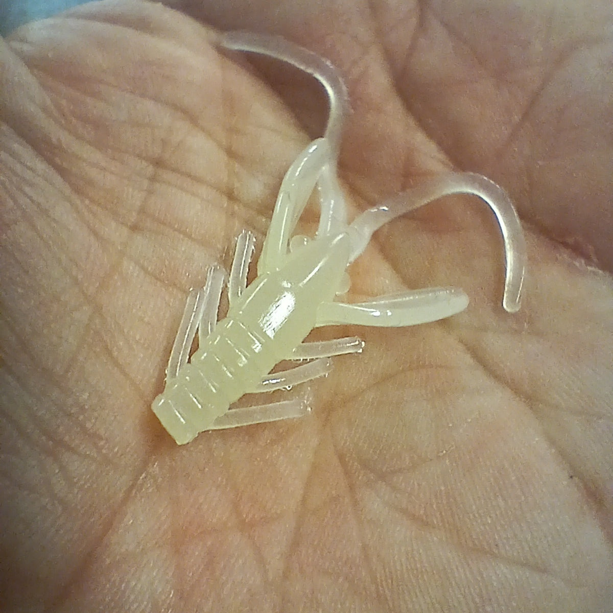 Mini Craw 1.5 po