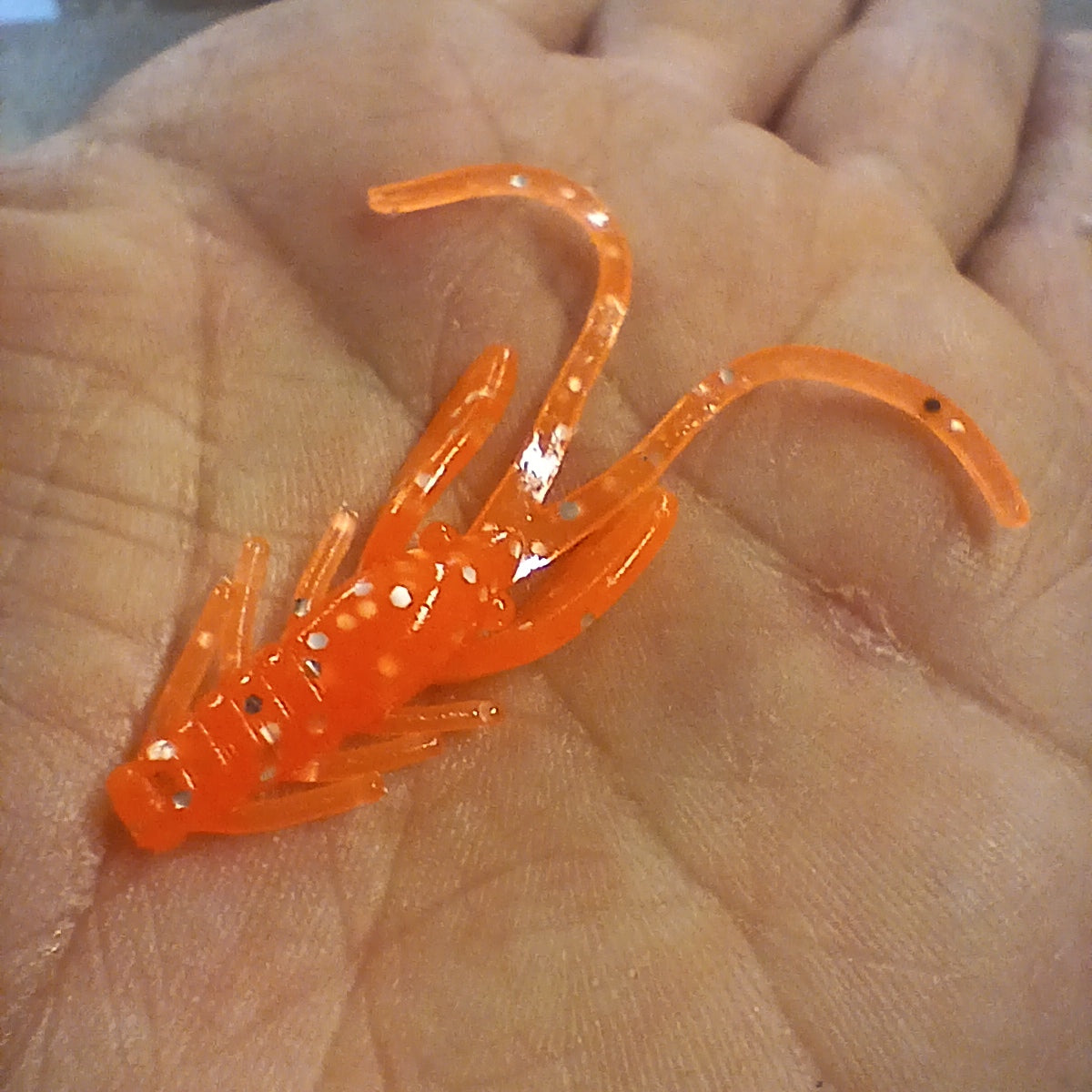 Mini Craw 1.5 po