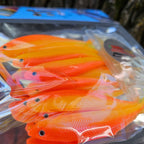 swimmy fish scent attractant 3.5 orange