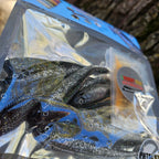 swimmy fish scent attractant silver minnow