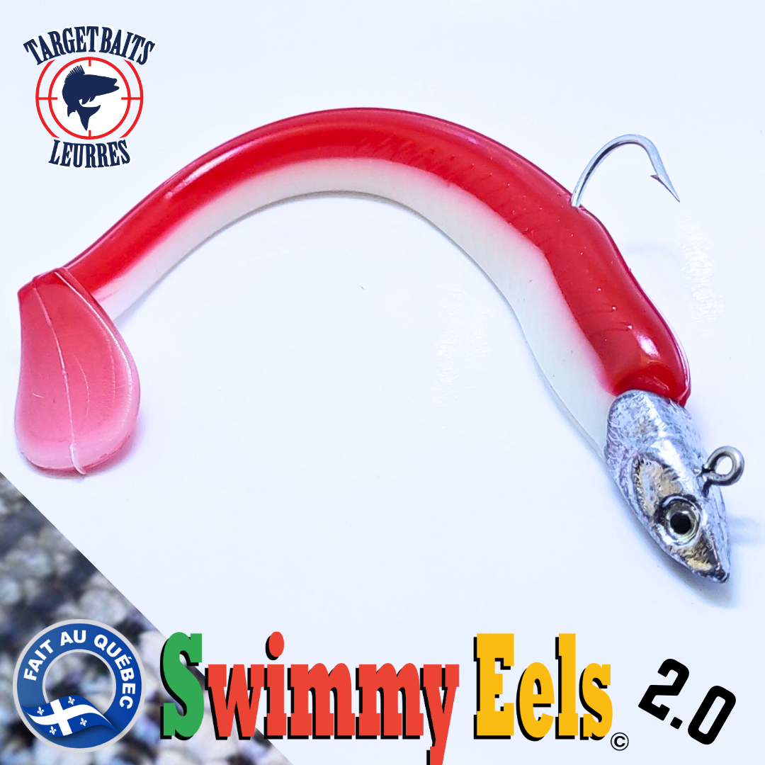 Swimmy Eel 5.5" (2.0) avec tête de Jig