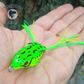 Swimmy Frog