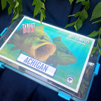 Closed Bass Target Box with a bass illustration on the lid.