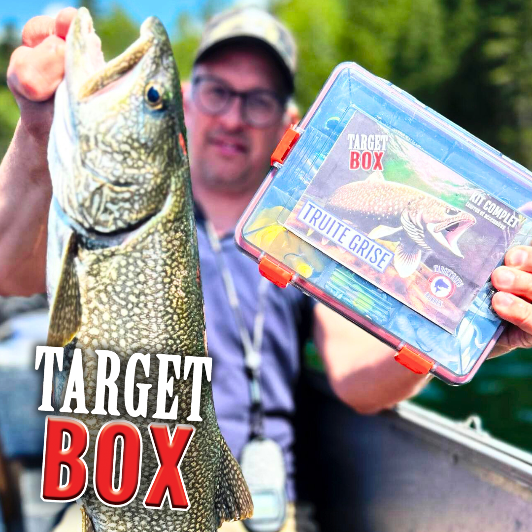 TARGET BOX - TRUITE GRISE