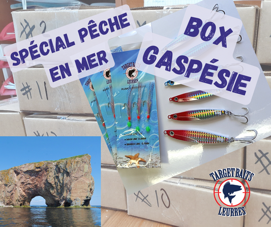 Target Box SEA "Gaspé and North Shore"