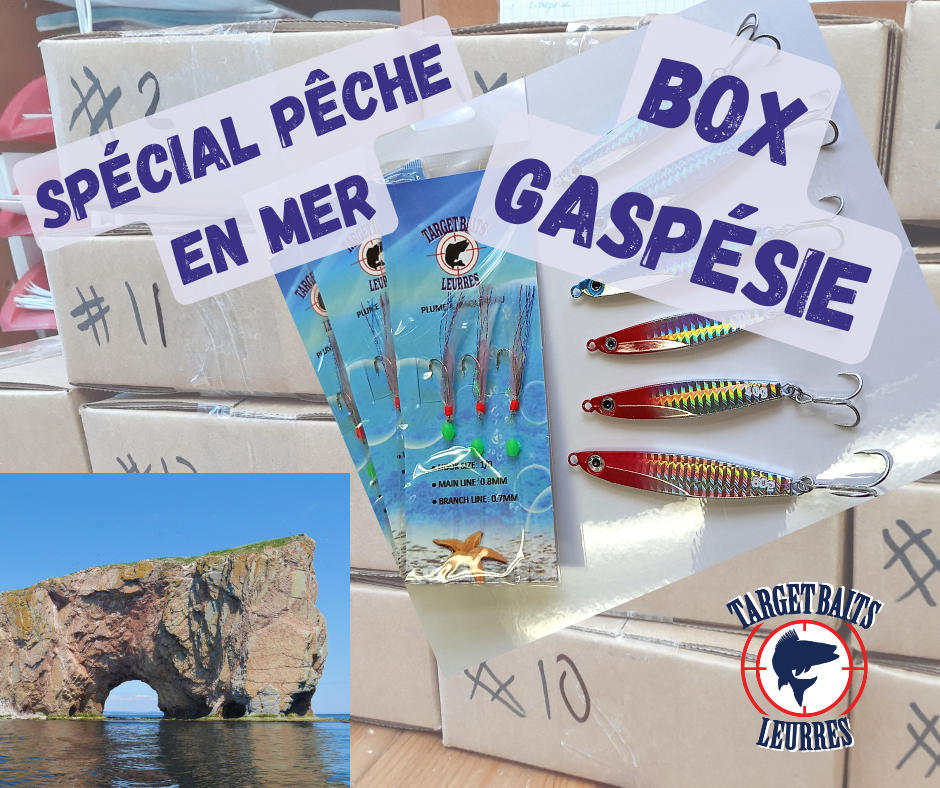 Target Box SEA "Gaspé and North Shore"