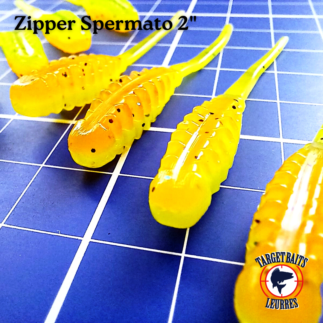 Zipper Spermato