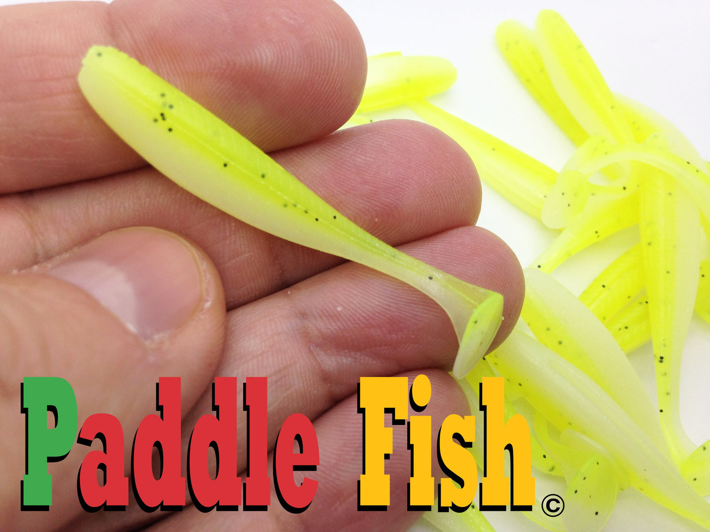 Paddle Fish Mini 2.5"