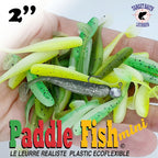 Paddle Fish Mini for ice fishing